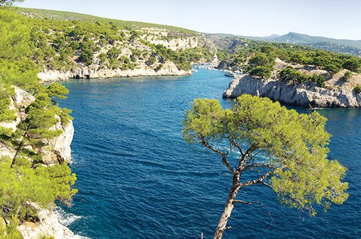 Le port de Bandol et la Méditerranée